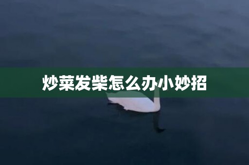 炒菜发柴怎么办小妙招