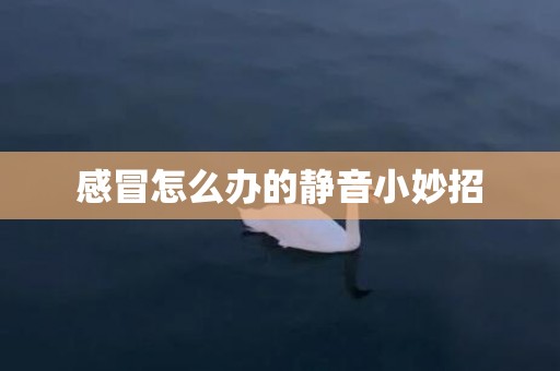 感冒怎么办的静音小妙招