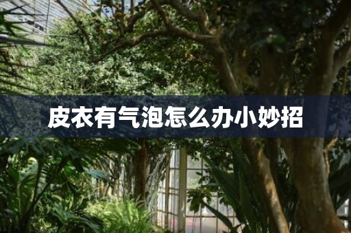 皮衣有气泡怎么办小妙招