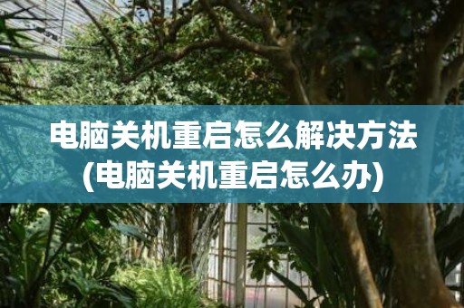 电脑关机重启怎么解决方法(电脑关机重启怎么办)