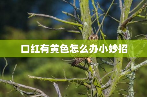 口红有黄色怎么办小妙招