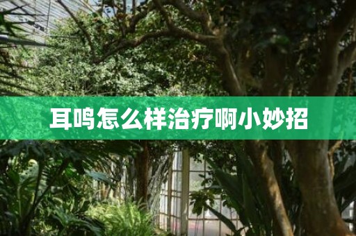 耳鸣怎么样治疗啊小妙招