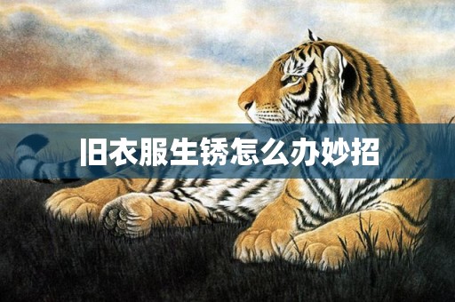 旧衣服生锈怎么办妙招