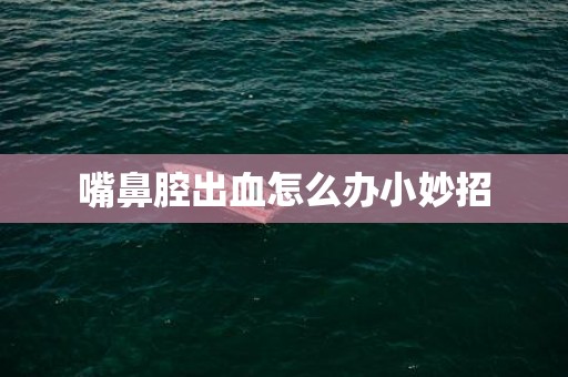 嘴鼻腔出血怎么办小妙招