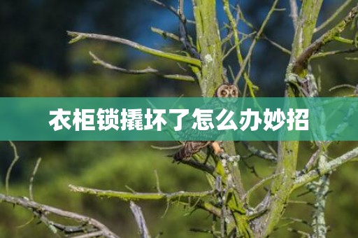 衣柜锁撬坏了怎么办妙招