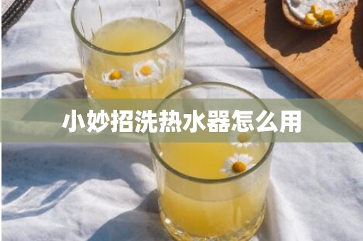 小妙招洗热水器怎么用