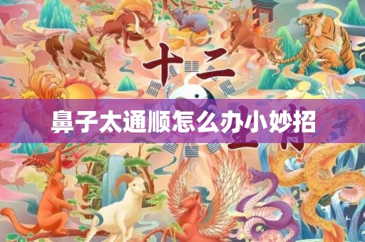 鼻子太通顺怎么办小妙招