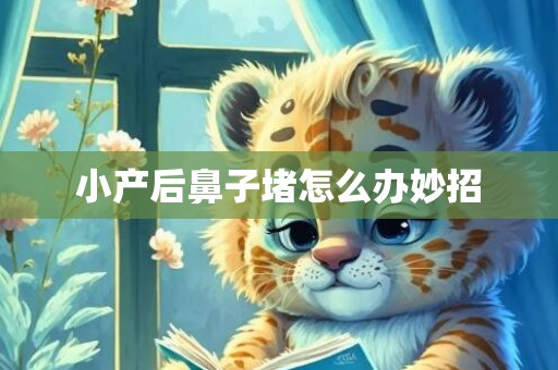 小产后鼻子堵怎么办妙招