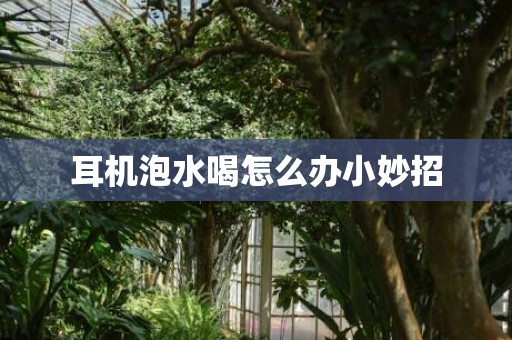 耳机泡水喝怎么办小妙招