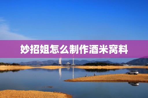 妙招姐怎么制作酒米窝料