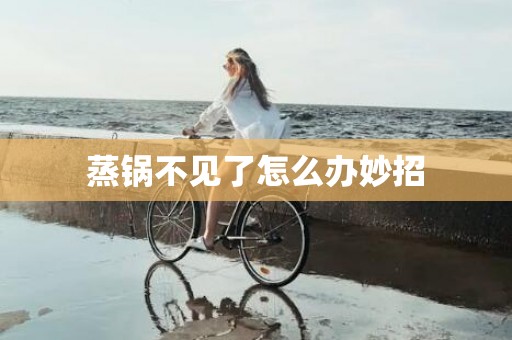蒸锅不见了怎么办妙招