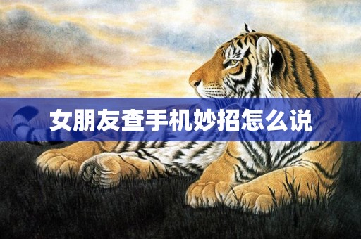 女朋友查手机妙招怎么说