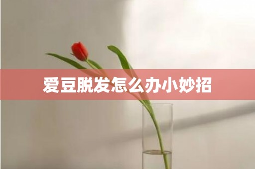 爱豆脱发怎么办小妙招