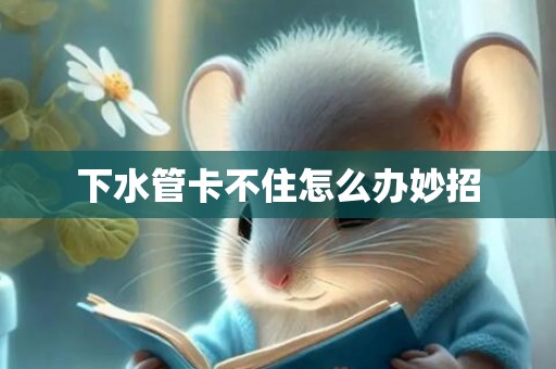 下水管卡不住怎么办妙招