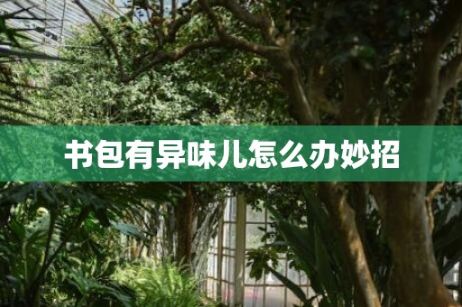 书包有异味儿怎么办妙招