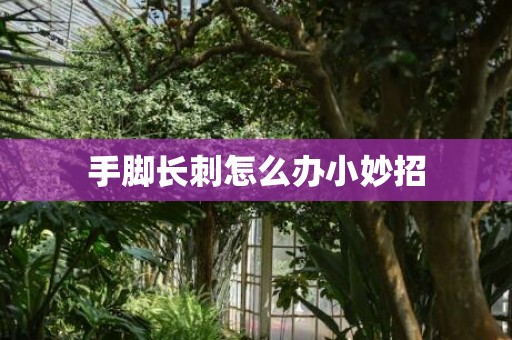 手脚长刺怎么办小妙招