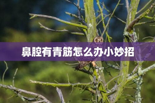 鼻腔有青筋怎么办小妙招