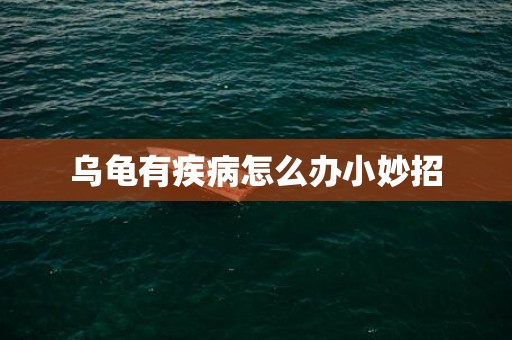 乌龟有疾病怎么办小妙招