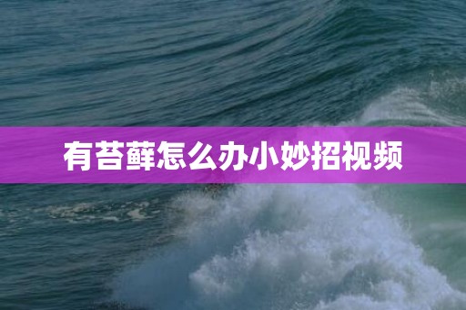 有苔藓怎么办小妙招视频