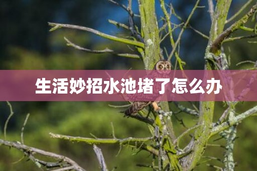 生活妙招水池堵了怎么办