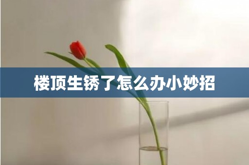 楼顶生锈了怎么办小妙招