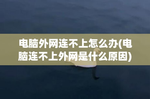 电脑外网连不上怎么办(电脑连不上外网是什么原因)