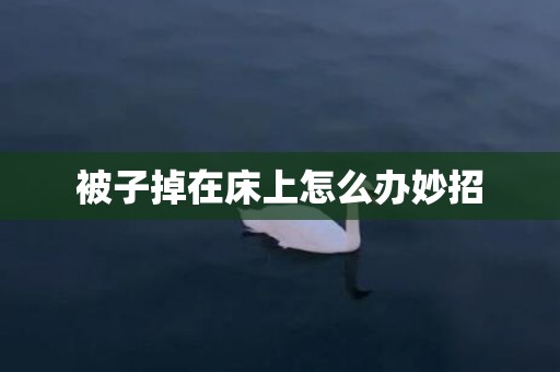 被子掉在床上怎么办妙招