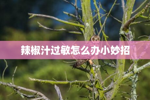 辣椒汁过敏怎么办小妙招