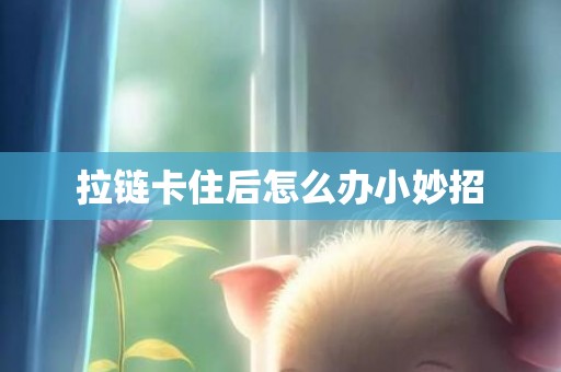拉链卡住后怎么办小妙招