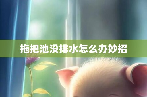 拖把池没排水怎么办妙招