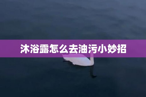 沐浴露怎么去油污小妙招
