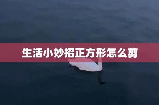 生活小妙招正方形怎么剪