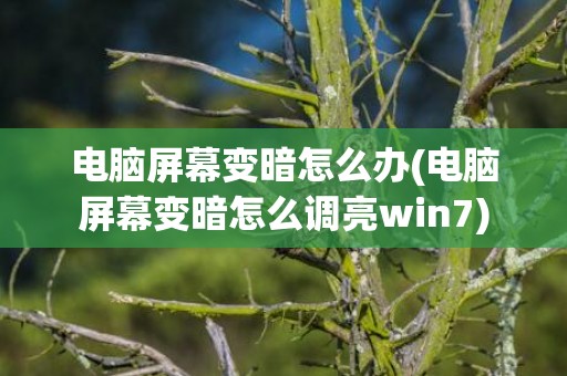 电脑屏幕变暗怎么办(电脑屏幕变暗怎么调亮win7)