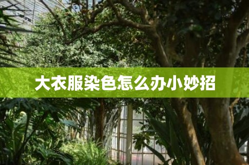 大衣服染色怎么办小妙招