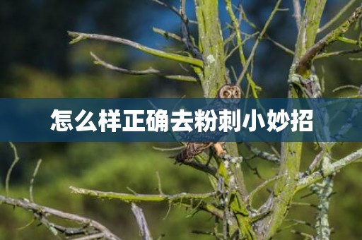 怎么样正确去粉刺小妙招