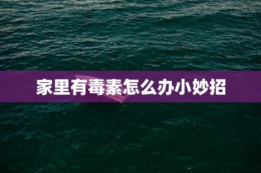 家里有毒素怎么办小妙招