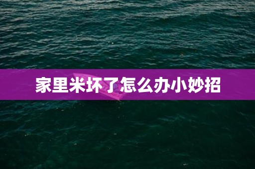 家里米坏了怎么办小妙招