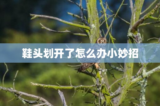 鞋头划开了怎么办小妙招