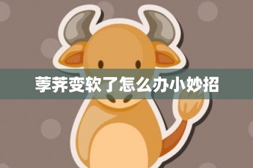 荸荠变软了怎么办小妙招