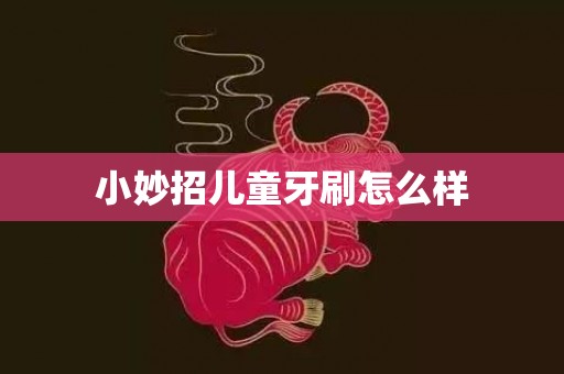 小妙招儿童牙刷怎么样