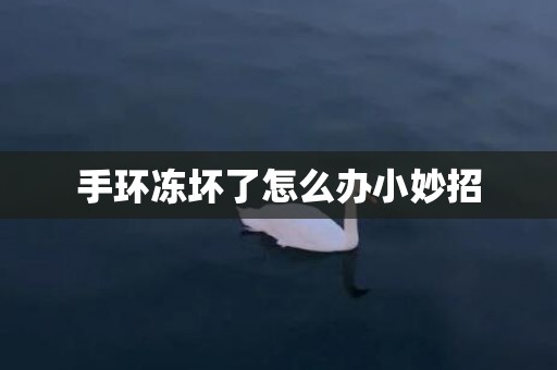 手环冻坏了怎么办小妙招