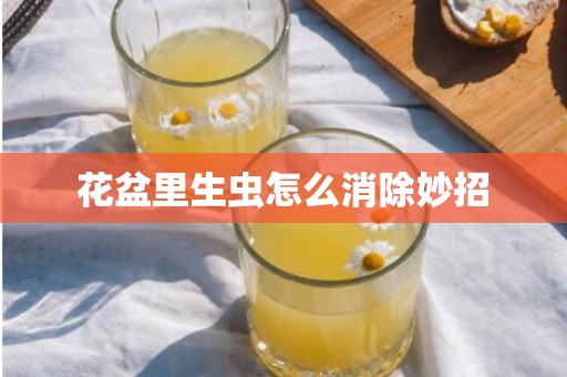 花盆里生虫怎么消除妙招