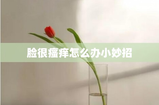 脸很瘙痒怎么办小妙招