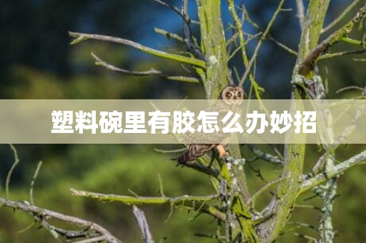 塑料碗里有胶怎么办妙招