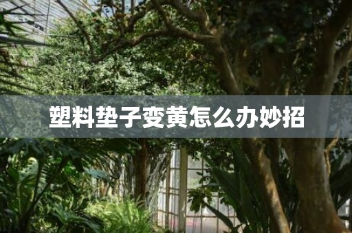塑料垫子变黄怎么办妙招