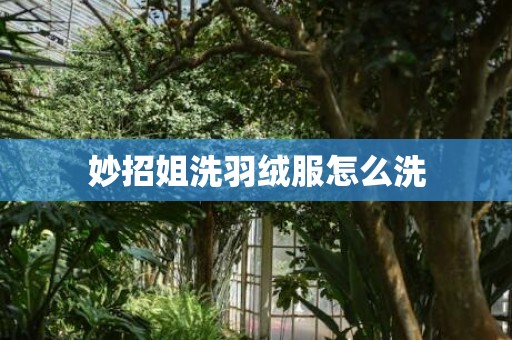 妙招姐洗羽绒服怎么洗