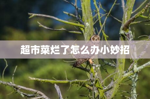 超市菜烂了怎么办小妙招