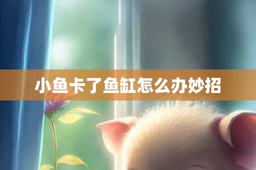 小鱼卡了鱼缸怎么办妙招