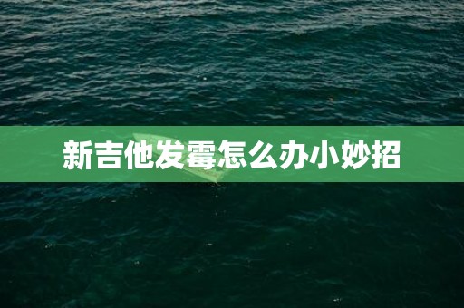 新吉他发霉怎么办小妙招