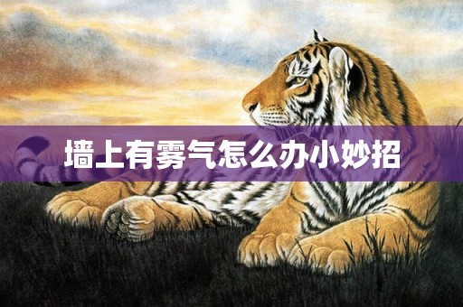 墙上有雾气怎么办小妙招